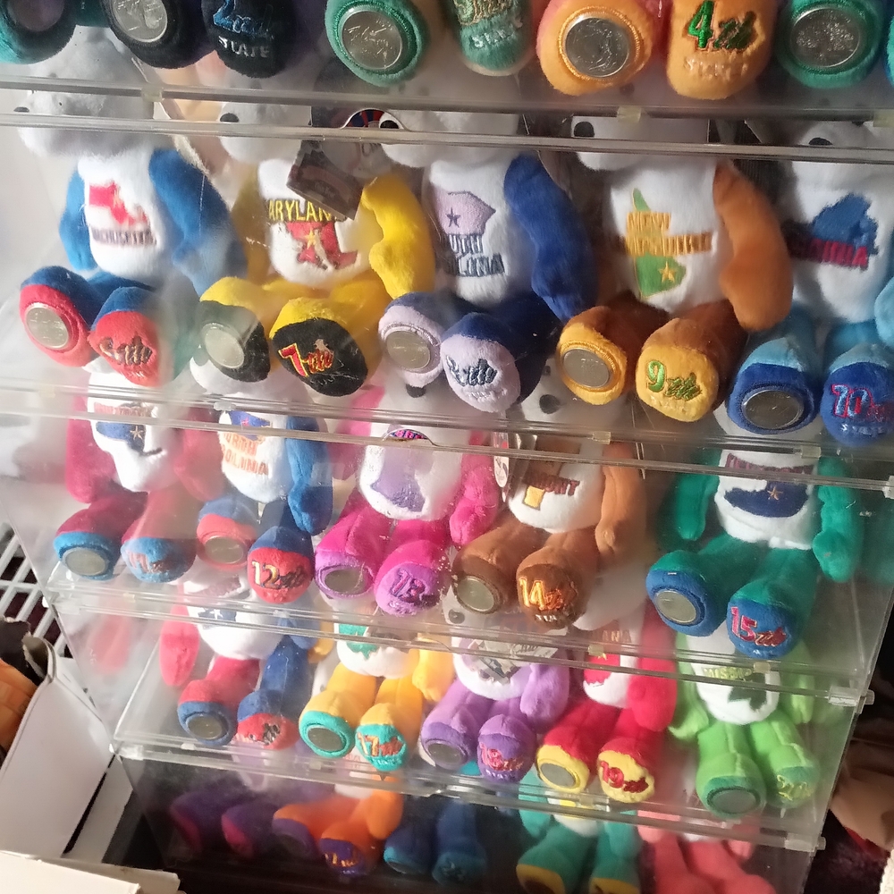 Colorful Dollar State Souvenir Bears Collection